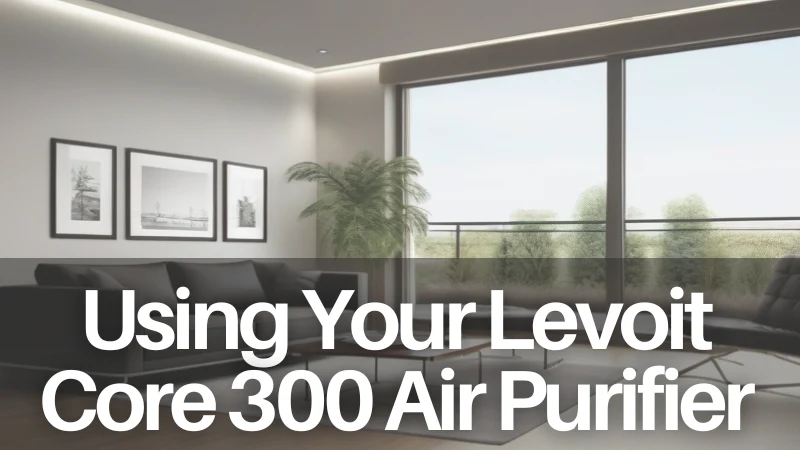 Using the Levoit Core 300 Air Purifier
